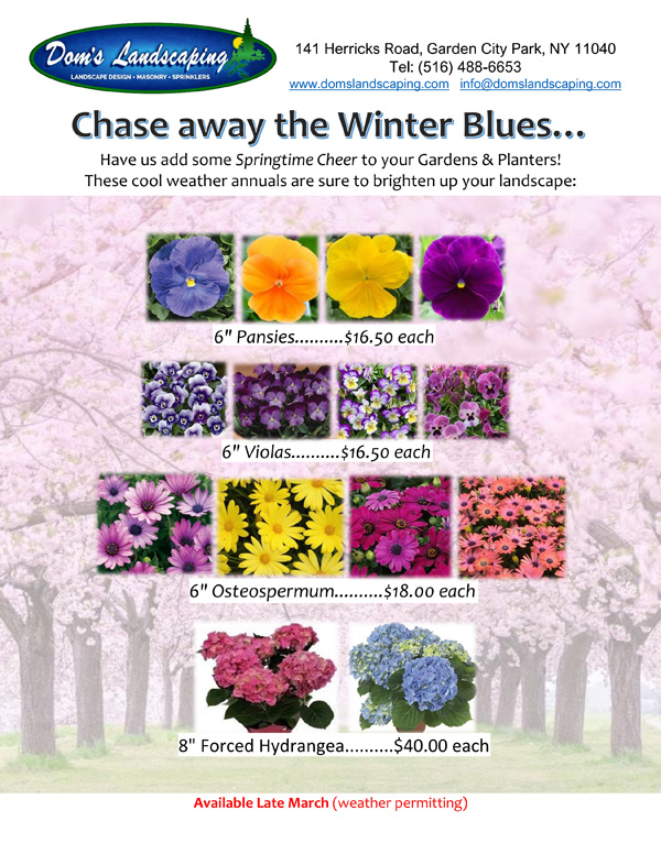 Flyer-2026-Seasonal Flowers and Bulbs