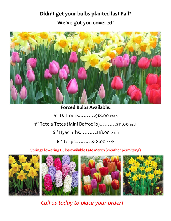 Flyer-2026-Seasonal Flowers and Bulbs
