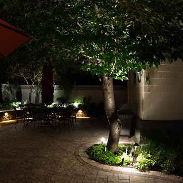 LED Lighting around tree