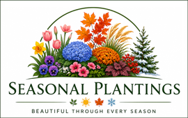 Seasonal Collection